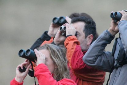 Excursión para escuchar la berrea del ciervo. NORBERTO
