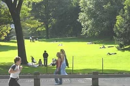 También en Manhattan, Central Park, el pulmón de NY, un lugar lleno de vida.
