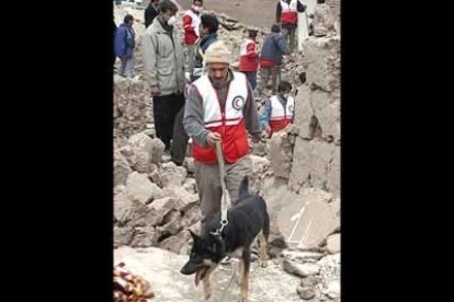 Más datos de la tragedia: el 70 por ciento de las viviendas en Bam quedaron destruidas y más del 20 por ciento dañadas por el seísmo, de magnitud 6.3 en la escala Richter.