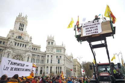 Manifestación por la defensa del campo español este domingo en Madrid. LUCA PIERGIOVANNI