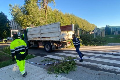 Cae un árbol en el campus de Vegazana. RAMIRO