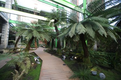 Helechos del carbonífero en la sala del Fuego Verde. L. DE LA MATA