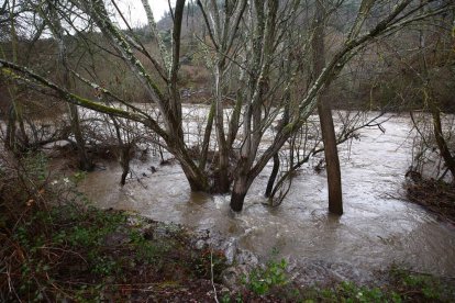 El río Sil a su paso por Ponferrada.