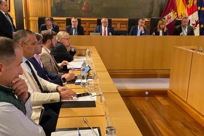 Pleno de constitución de la Diputación de León. RAMIRO