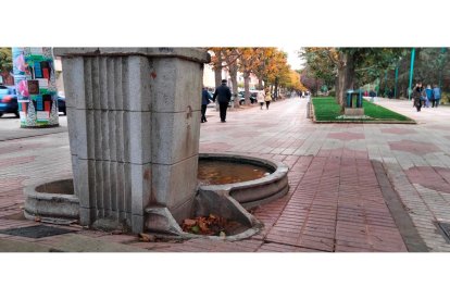 PP DE LEÓN