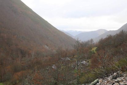 Algunas de las intervenciones llevadas a cabo en los montes, dentro de los programas para la repoblación de este ave.