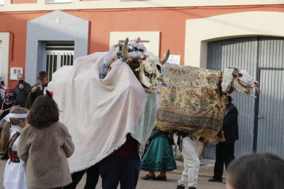 Antruejo de Velilla de la Reina. MARCIANO PÉREZ