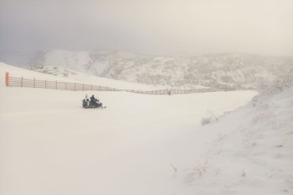 Leitariegos blanco con la nieve nueva