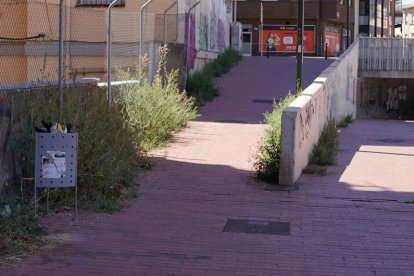 Papeleras desbordadas y maleza por todos lados se repiten a lo largo del paseo. MIGUEL F. B.