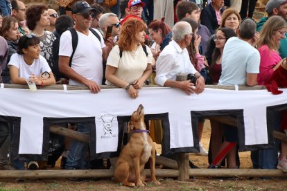 Hospital de Órbigo (León) regresa a la Edad Media para recrear las Justas del Passo Honroso. PEIO GARCÍA