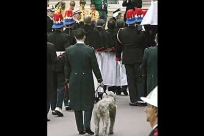 Sorprendentemente, y por deseo del Príncipe fallecido, Odin, el fiel perro de Rainiero III, también tomó parte en la comitiva oficial, con una correa negra en señal de luto.