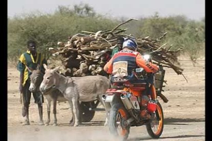 Nani Roma perdió casi tres minutos de ventaja sobre su máximo rival, el francés Sainct, por culpa de una vaca que se cruzó en su camino.