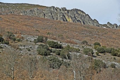 Desde el tranquilo paisaje
de Campohermoso, con la
cordillera al frente, a las ruinas
del castillo de Aviados, que
fue gran fortaleza medieval, el
valle de La Valcueva serpentea
por un camino en el que se
entrecruzan la carretera y el
pausado tren de vía estrecha. RAMIRO.