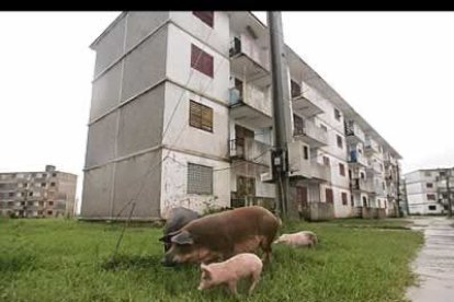 Uno de los factores más complejos del fenómeno es que sigue una trayectoria errática.