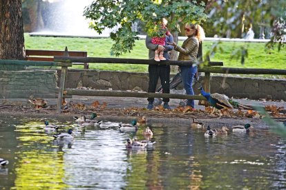 Parque de Quevedo. RAMIRO