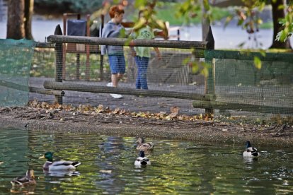 Parque de Quevedo. RAMIRO