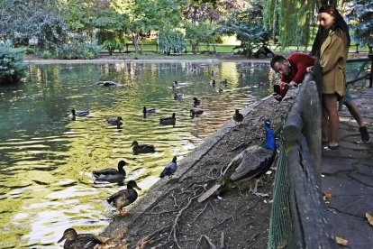 Parque de Quevedo. RAMIRO
