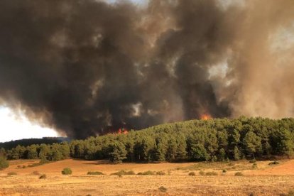 Vista del incendio. RAMIRO