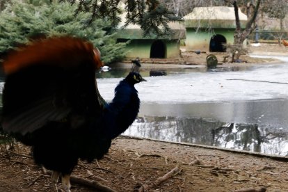 Parque de Quevedo. RAMIRO