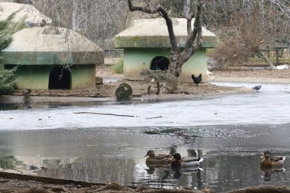 Parque de Quevedo. RAMIRO