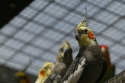 Parque de Quevedo.  DANIEL