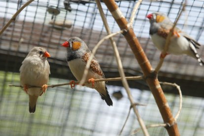 Parque de Quevedo.  DANIEL