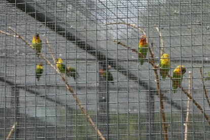 Parque de Quevedo.  DANIEL