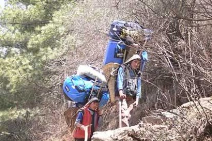 Hay sherpas que se dedican toda su vida a portear. Es frecuente encontrase con algunos que cargan 80 Kg. Los que acompañan a Calleja unos 70 Kg, y son ellos los que piden llevar tanto peso, porque así ganan más dinero.