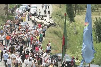 Un total de 168 mastines y 12 careas se dieron cita en Prioro en la mayor concentración de esta raza ante un público numeroso y entregado a disfrutar de los ejemplares