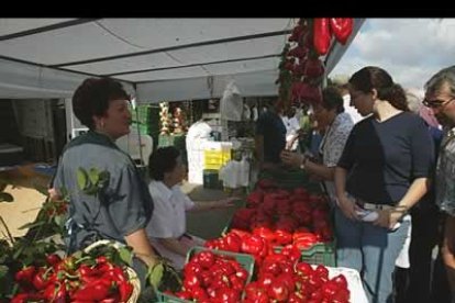 El pimiento de Fresno de la Vega es reconocido por su gran calidad.