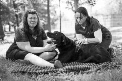 Duke, ya sin vida. Foto: ROBYN AROUTY