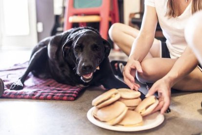 Duke, comiendo hamburguesas. Foto: ROBYN AROUTY