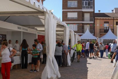 La feria se celebra hasta hoy en la plaza del Conde Luna. MIGUEL F.B.