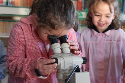 Los niños y niñas implicados en el proyecto han aprendido a utilizar elementos de su entorno para hacer tintes naturales, han creado su propio banco de semillas, han fabricado cajas nido y hoteles de insectos con el objetivo de preservar la biodiversidad y también han conocido la importancia de mantener sus ríos y arroyos limpios para la vida que habita en ellos. RBVOyL.