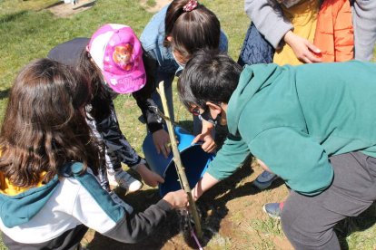Los niños y niñas implicados en el proyecto han aprendido a utilizar elementos de su entorno para hacer tintes naturales, han creado su propio banco de semillas, han fabricado cajas nido y hoteles de insectos con el objetivo de preservar la biodiversidad y también han conocido la importancia de mantener sus ríos y arroyos limpios para la vida que habita en ellos. RBVOyL.