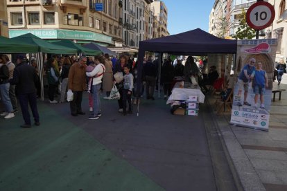 La Feria del Voluntariado en León. JONATHAN NOTARIO