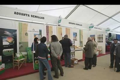 En estos días se espera una masiva afluencia de público procedente de todos los puntos de la provincia.