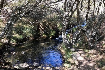 Arroyo paralelo. MARTA GARCÍA