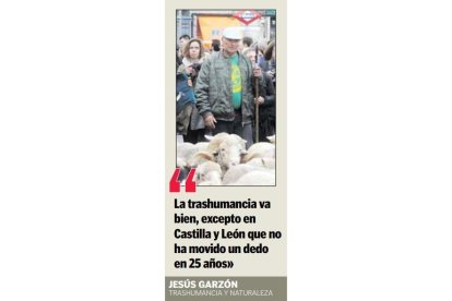 MERINAS1