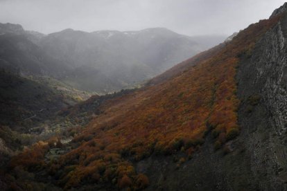 Un rincón de la montaña central leonesa. ANA F. BARREDO / JESÚS F. SALVADORES / RUBÉN EARTH