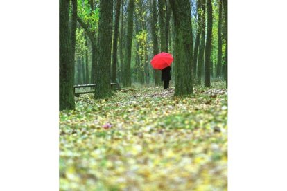 Otoño en Puente Villarente. ANA F. BARREDO / JESÚS F. SALVADORES / RUBÉN EARTH