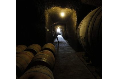 Interior de una bodega de Valdevimbre.