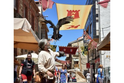 Mercado Medieval de La Bañeza.  DANIEL PISABARRO GALLEGO