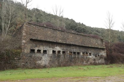 Otro en la salida de Toreno a Villar de las Traviesas. DLM