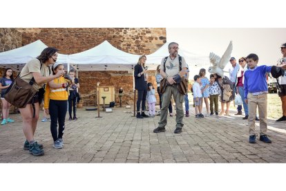 La cebolla es la protagonista en Villanueva de Jamuz. Daniel Pisabarro