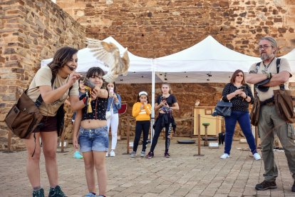La cebolla es la protagonista en Villanueva de Jamuz. Daniel Pisabarro