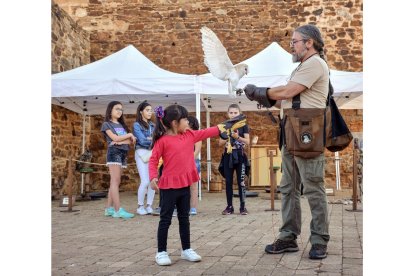 La cebolla es la protagonista en Villanueva de Jamuz. Daniel Pisabarro