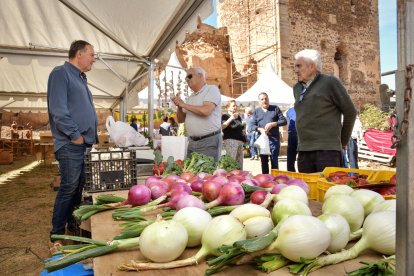 La cebolla es la protagonista en Villanueva de Jamuz. Daniel Pisabarro
