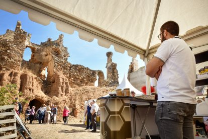 La cebolla es la protagonista en Villanueva de Jamuz. Daniel Pisabarro