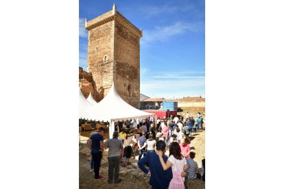 La cebolla es la protagonista en Villanueva de Jamuz. Daniel Pisabarro